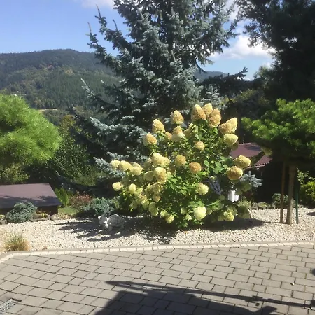 Chalet Panorama Stroza (Myslenice)